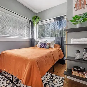 Apartment Jungle Themed Apt. Close To Coffee, Food + Shops!, Tampa